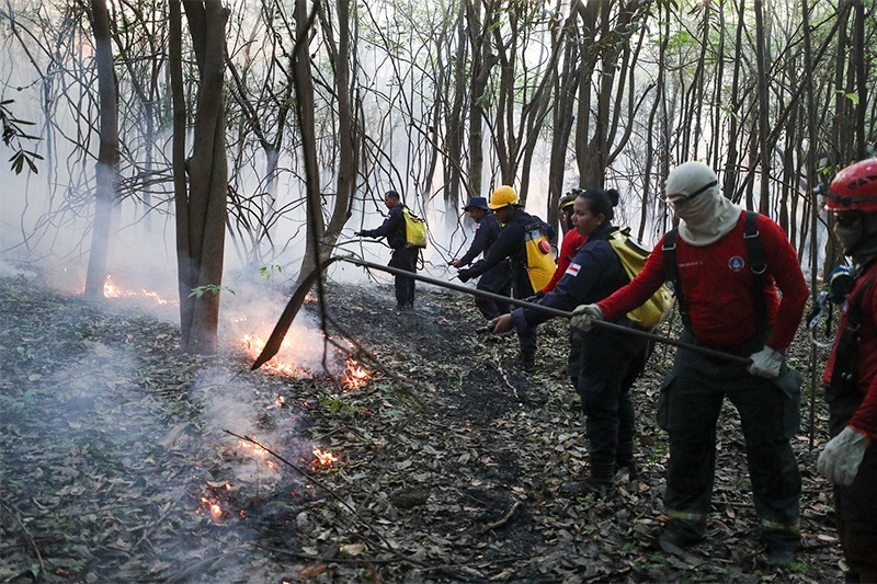 Amazonas fortalece preservação da Amazônia com redução das queimadas