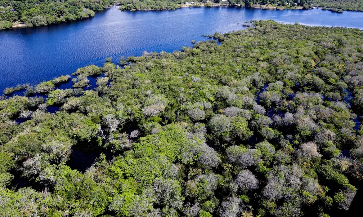 Queda do desmatamento não encerra fiscalização na Amazônia