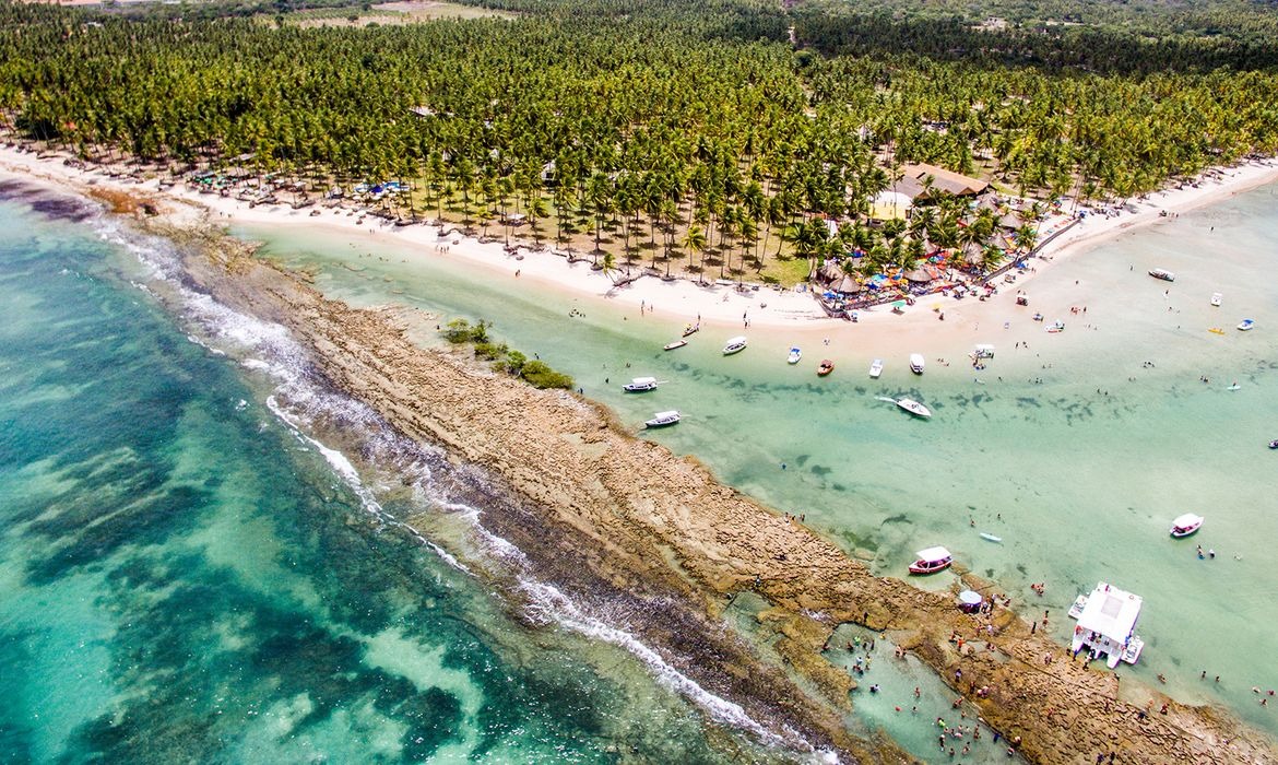 Cientistas alertam para barulho no mar