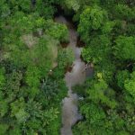 Brasil reduz área queimada em 31% em 2025