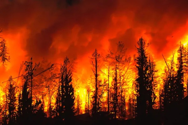Europa enfrenta avanço de incêndios florestais em meio ao calor extremo
