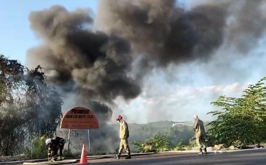 Incêndio destrói área de mata no Distrito Industrial