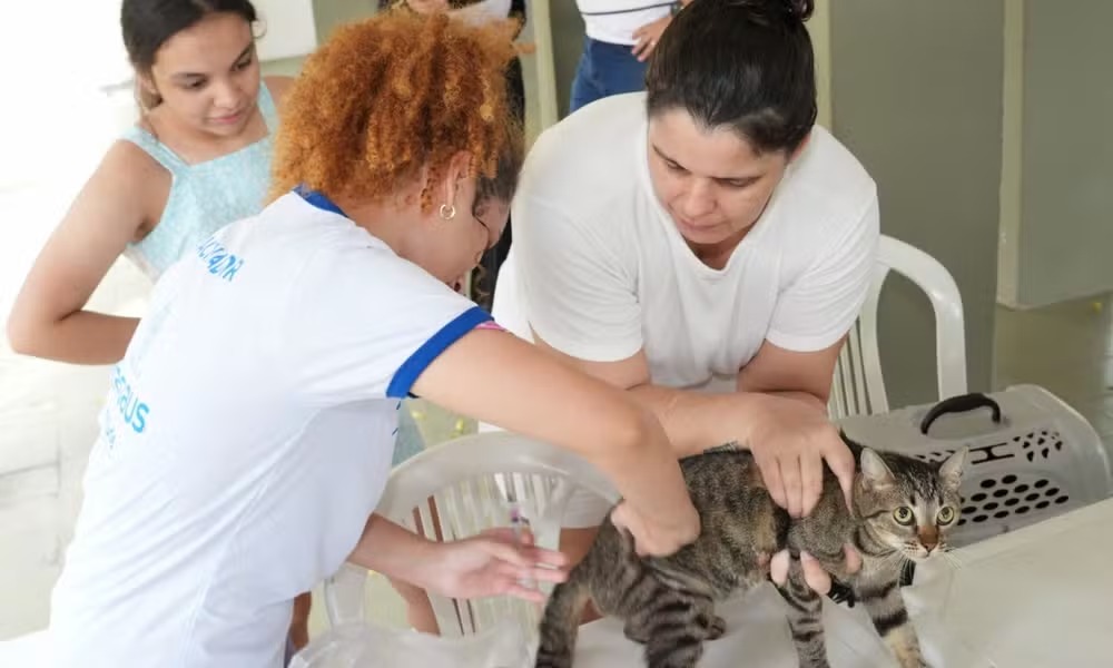 Campanha antirrábica começa em setembro em Manaus