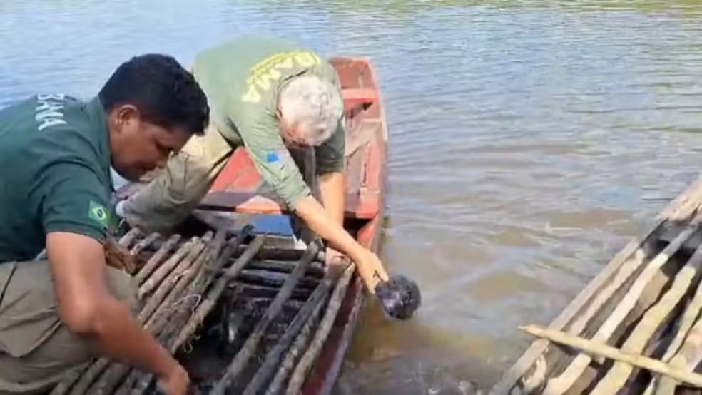 Operação combate pesca predatória no Rio Purus