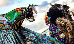 Cultura popular brasileira é destaque em encontro nacional em Brasília