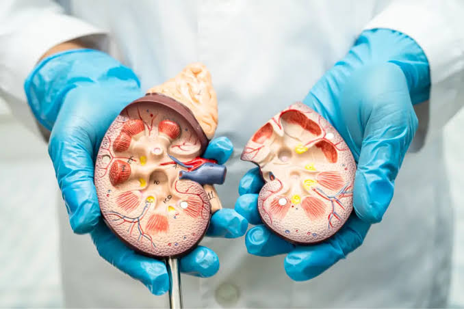 Mais de 170 mil brasileiros dependem de terapia renal