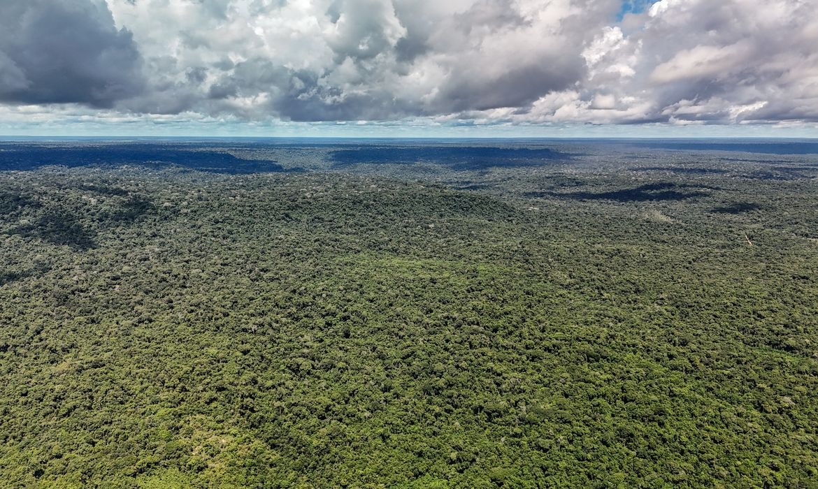 Crédito reforça transformação ecológica